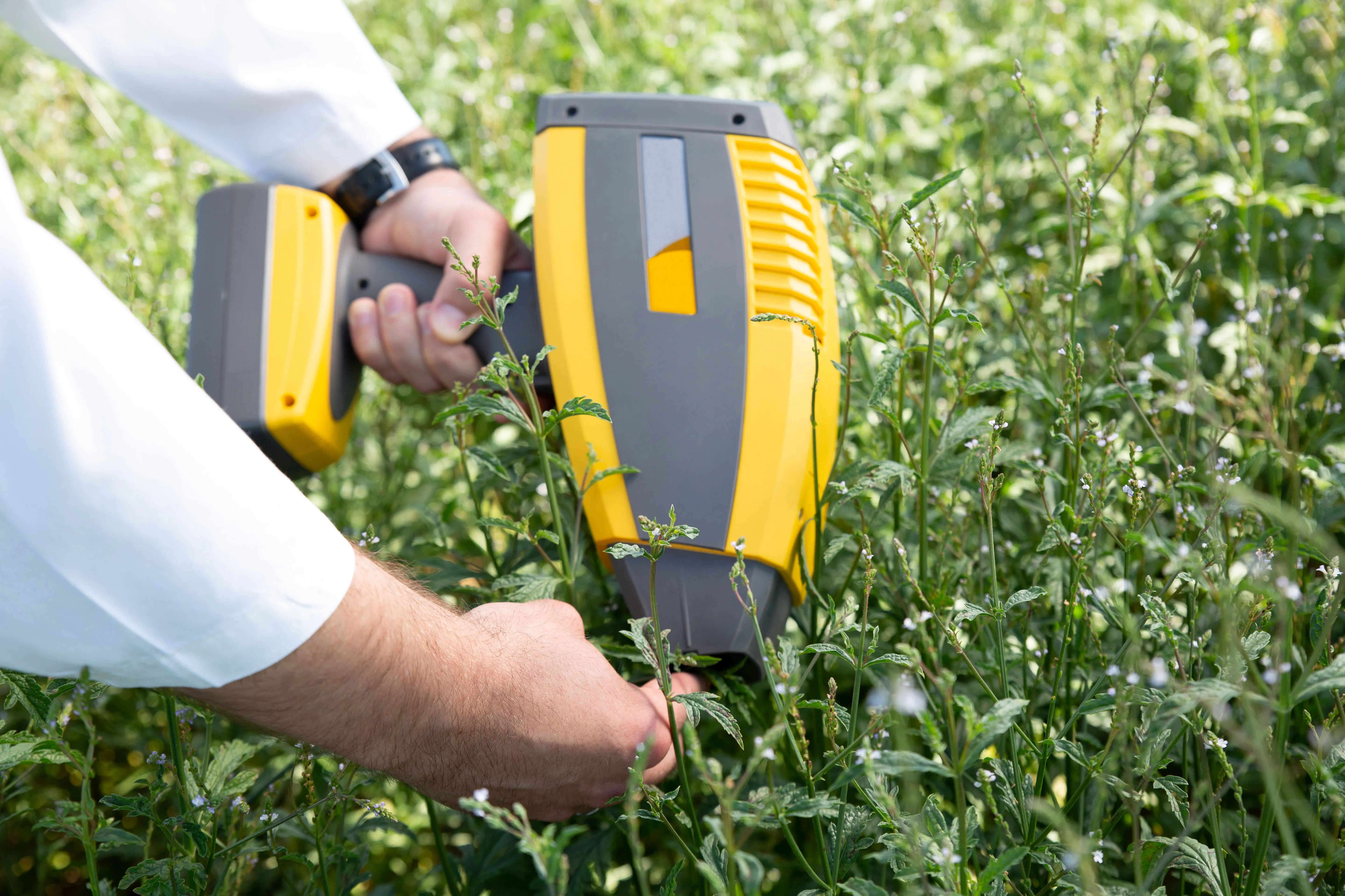 Измерение с помощью портативного анализатора ближнего инфракрасного диапазона (NIR) - 3